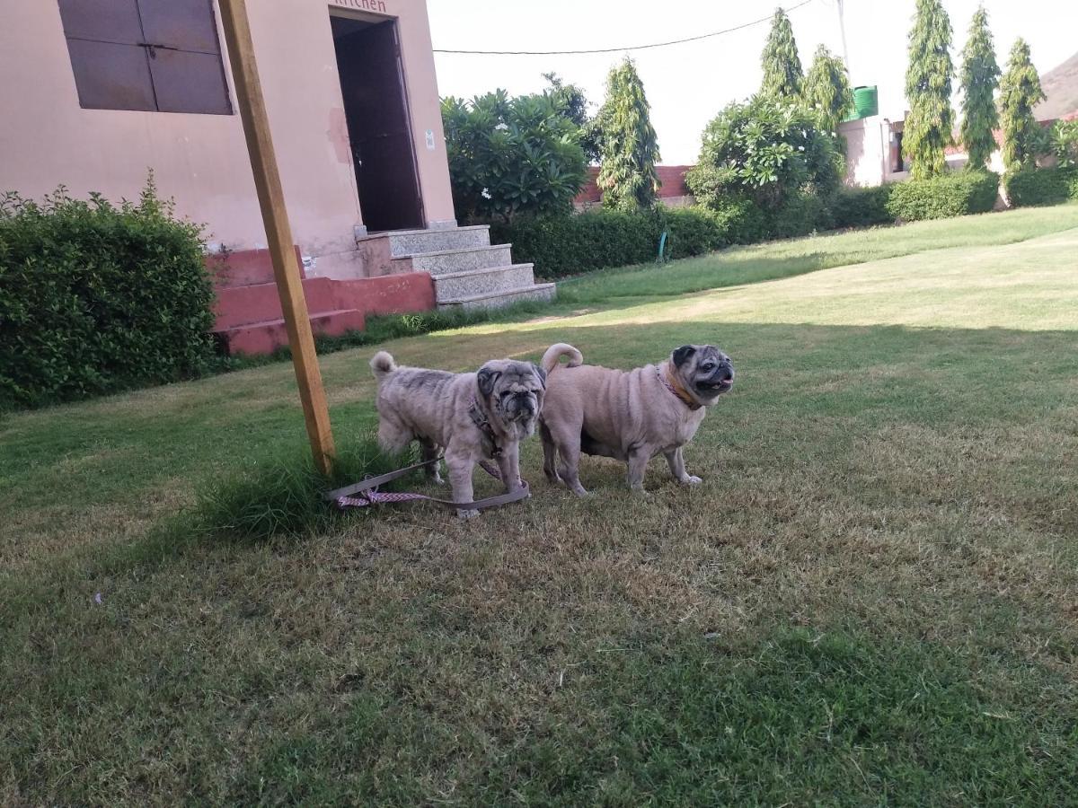 Pari Resort With Nature View Pushkar Esterno foto