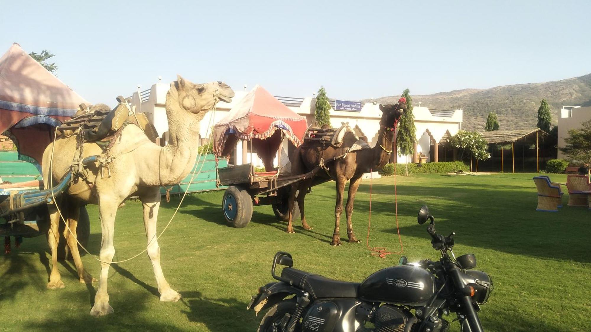 Pari Resort With Nature View Pushkar Esterno foto